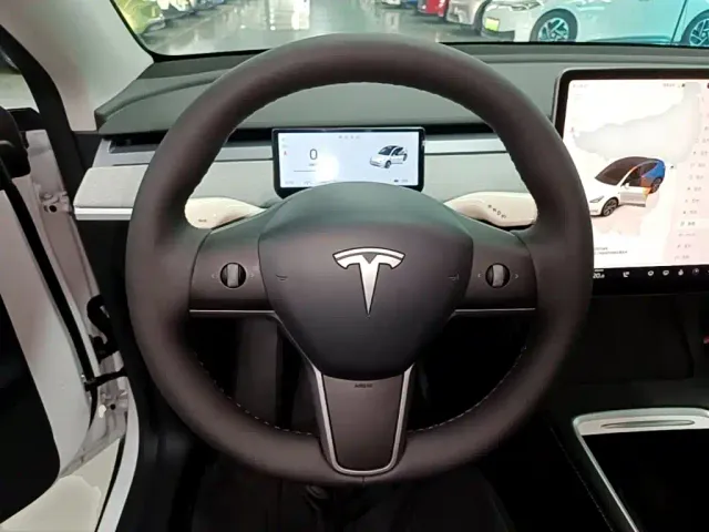 Tesla Model Y — Фото автомобиля 10