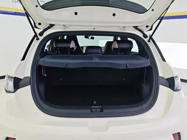 BYD Dolphin — Фото автомобиля 4