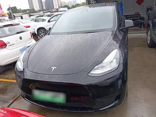 Tesla Model Y — Фото автомобиля 2
