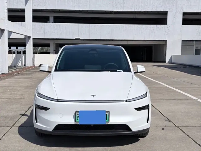 Tesla Model Y — Фото автомобиля 2
