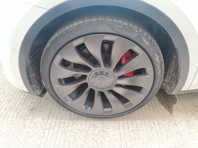 Tesla Model Y 2021 Performance High-Performance AWD — Фото автомобиля 22