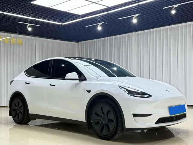 Tesla Model Y — Фото автомобиля 3