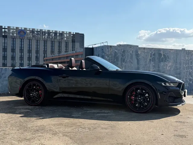 Ford Mustang — Фото автомобиля 12