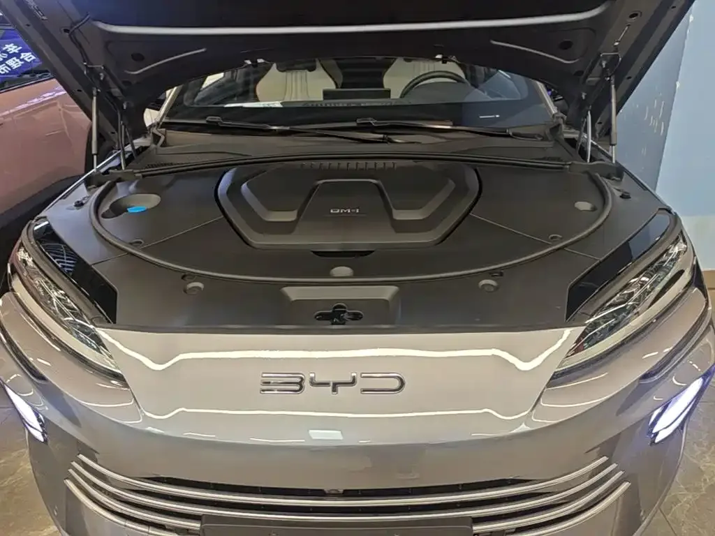 BYD Song PLUS PHEV 2023 Champion Edition DM-i 150KM Flagship PLUS — Фото автомобиля 19
