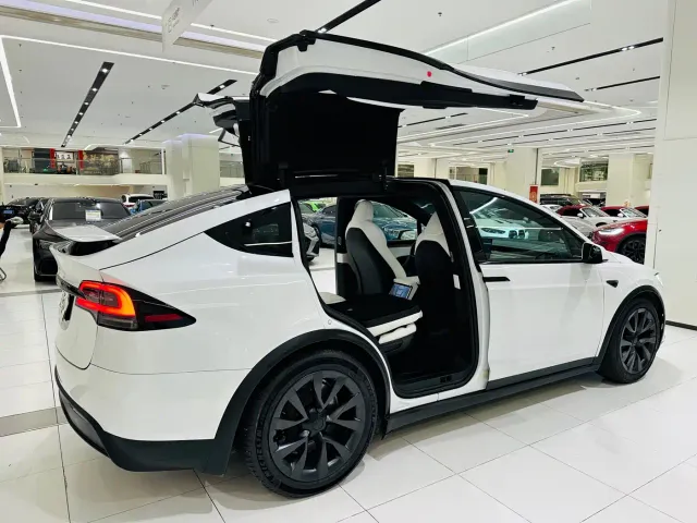 Tesla Model X — Фото автомобиля 23