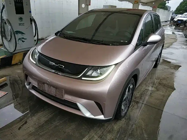 Фотография автомобиля — BYD Dolphin