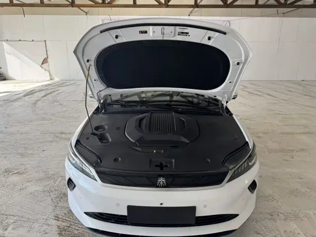 BYD Qin PLUS — Фото автомобиля 19