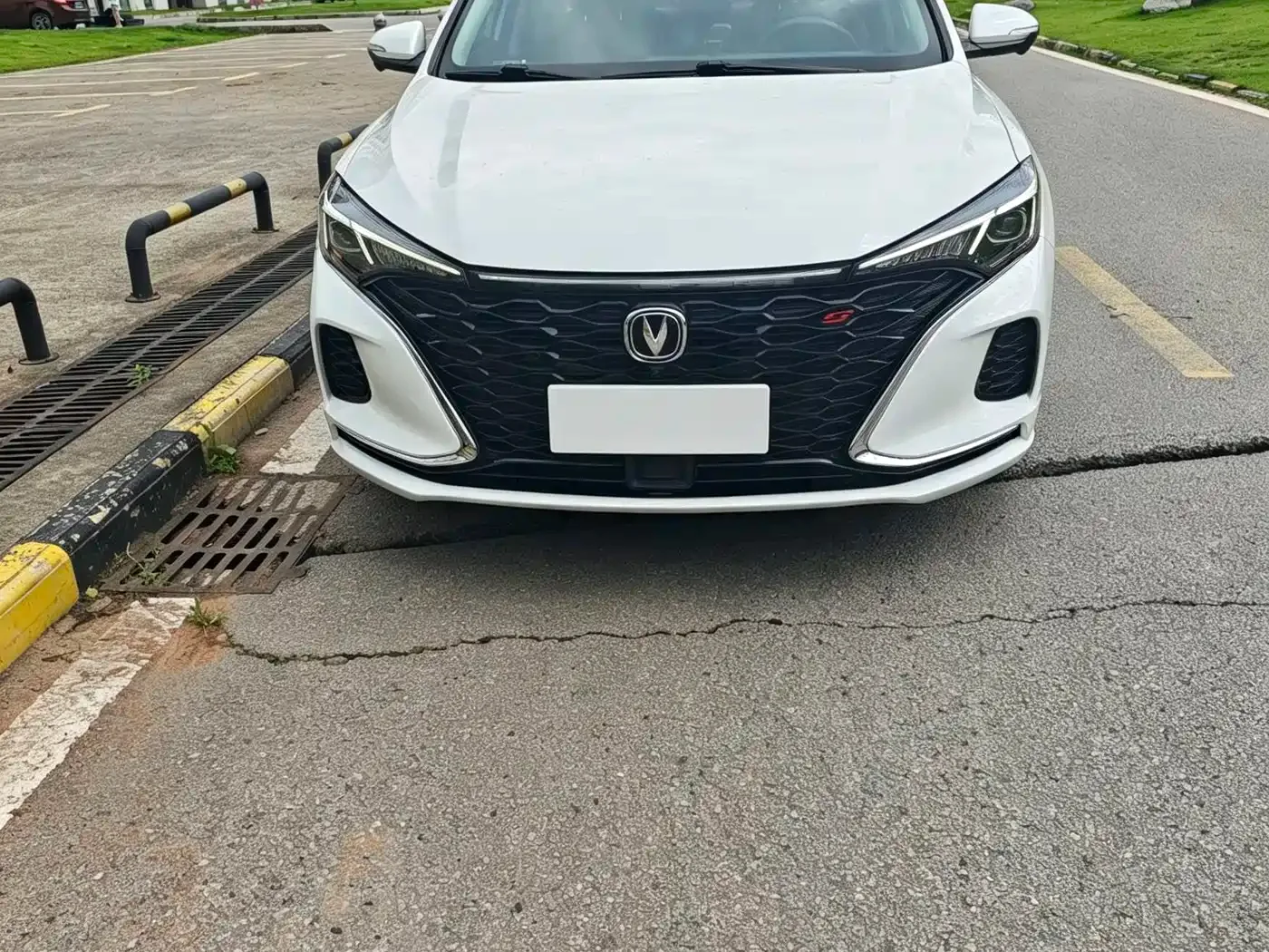 Changan Eado 2021 PLUS Blue Whale NE 1.4T GDI DCT Premium — Фото автомобиля 3