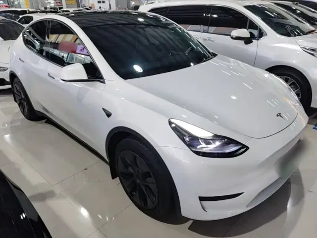 Tesla Model Y — Фото автомобиля 21