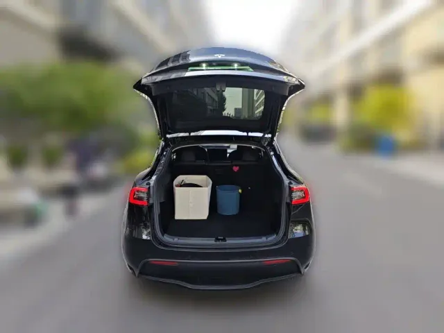 Tesla Model Y — Фото автомобиля 20