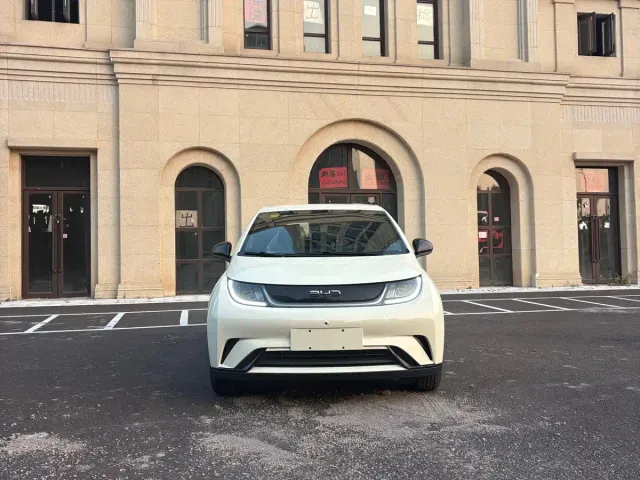 BYD Dolphin — Фото автомобиля 2