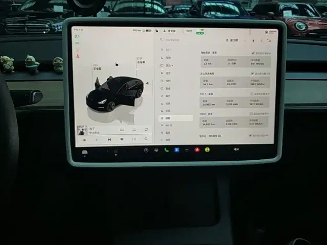 Tesla Model 3 — Фото автомобиля 12