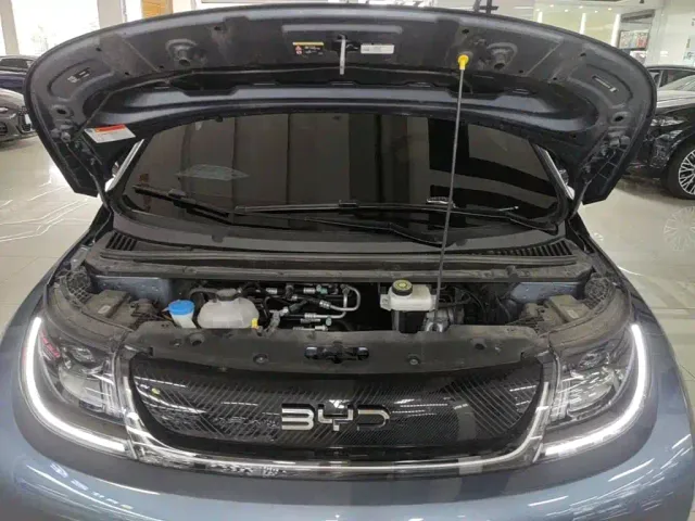 BYD Dolphin — Фото автомобиля 19