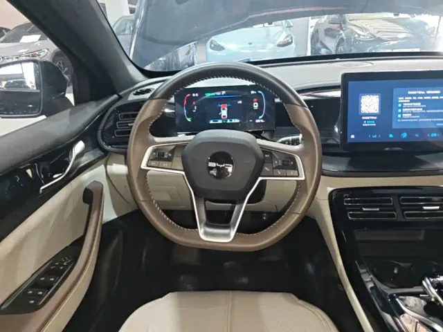 BYD Qin PLUS — Фото автомобиля 14