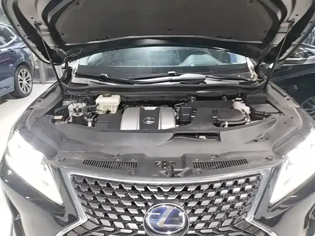 Lexus RX — Фото автомобиля 19