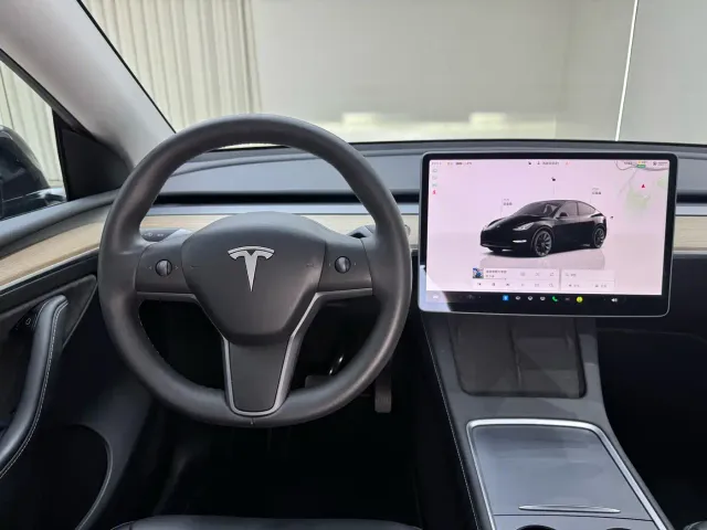 Tesla Model Y — Фото автомобиля 20