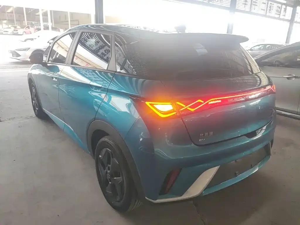 BYD Dolphin 2021 405km Freedom Edition — Фото автомобиля 22