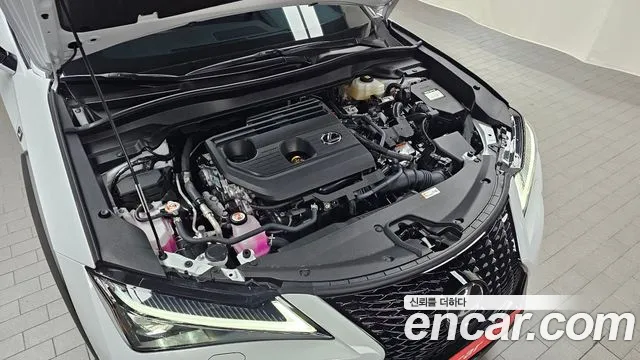 Lexus UX UX300h — Фото автомобиля 9