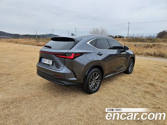 Lexus NX — Фото автомобиля 7