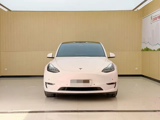Tesla Model Y — Фото автомобиля 2