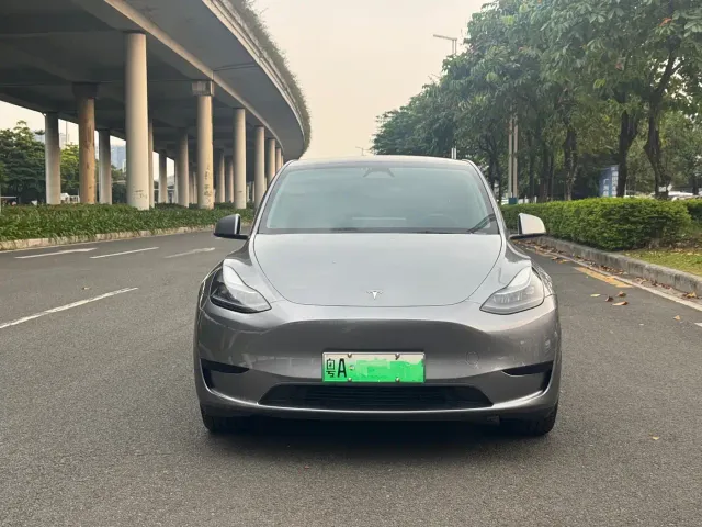 Tesla Model Y — Фото автомобиля 2