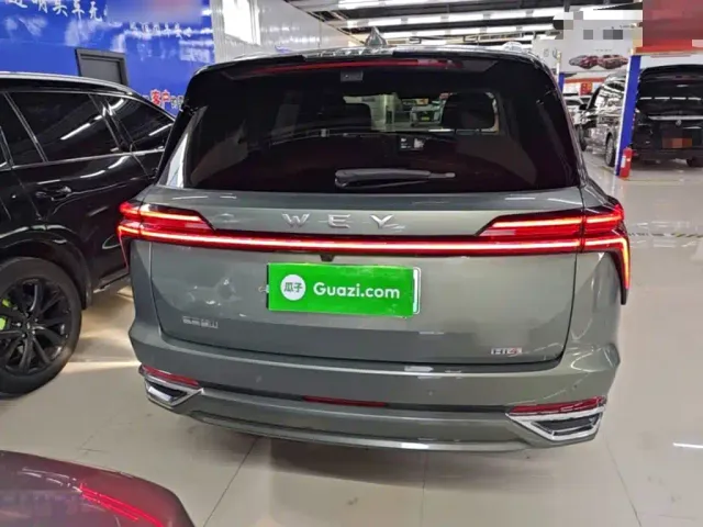Wey Lanshan — Фото автомобиля 5