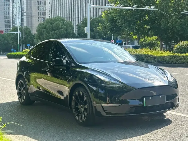 Tesla Model Y — Фото автомобиля 3