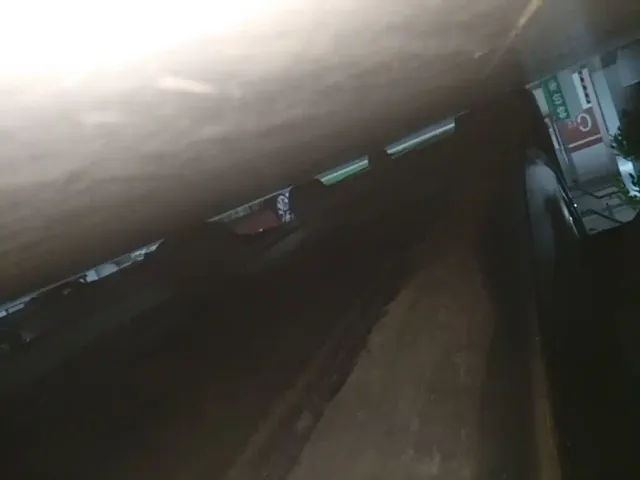Tesla Model 3 — Фото автомобиля 20