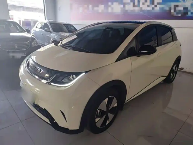 Фотография автомобиля — BYD Dolphin