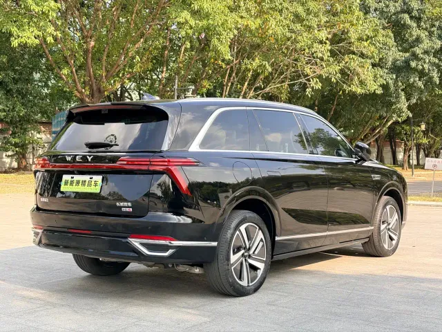 Wey Lanshan — Фото автомобиля 4