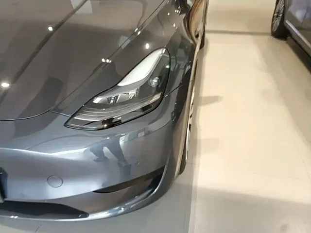 Tesla Model Y — Фото автомобиля 23