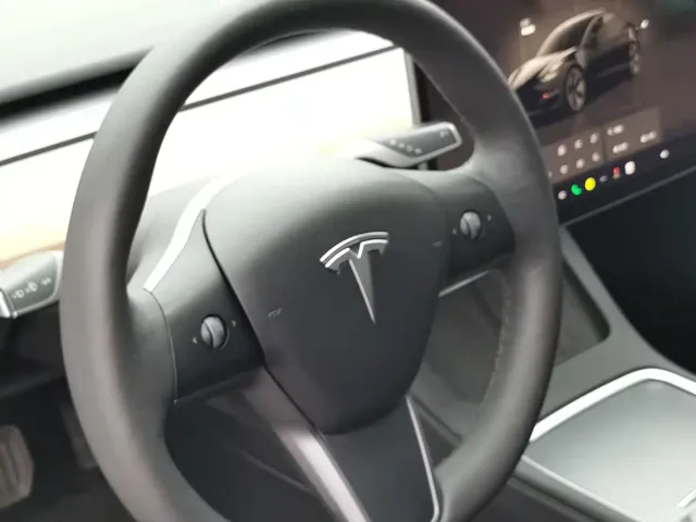 Tesla Model 3 — Фото автомобиля 4