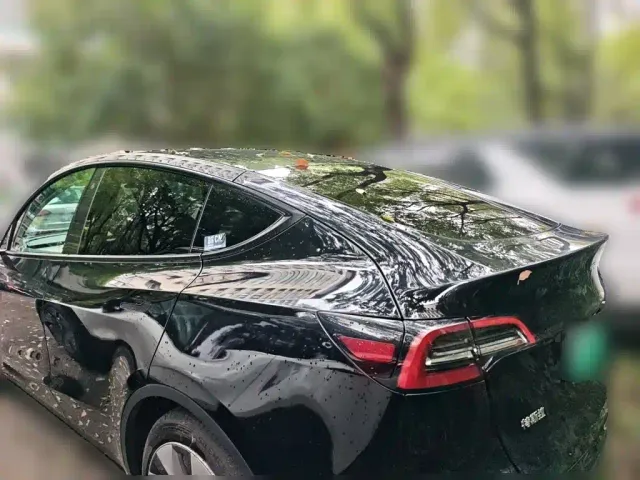 Tesla Model Y — Фото автомобиля 4