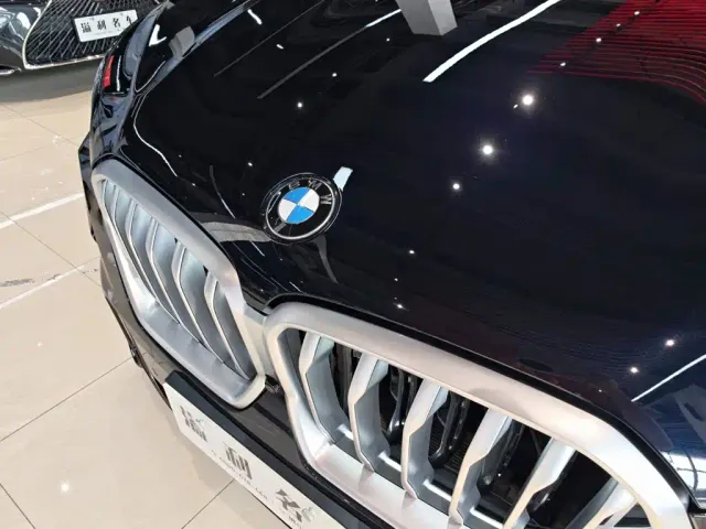 BMW BMW X6 2022 xDrive40i Premium M Sport Package — Фото автомобиля 11