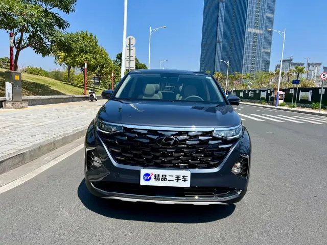 Hyundai Custo — Фото автомобиля 22