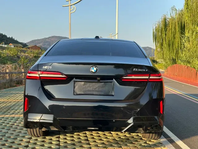 BMW 5 Series — Фото автомобиля 18