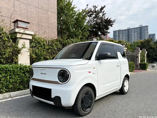 Фотография автомобиля — Geely Panda