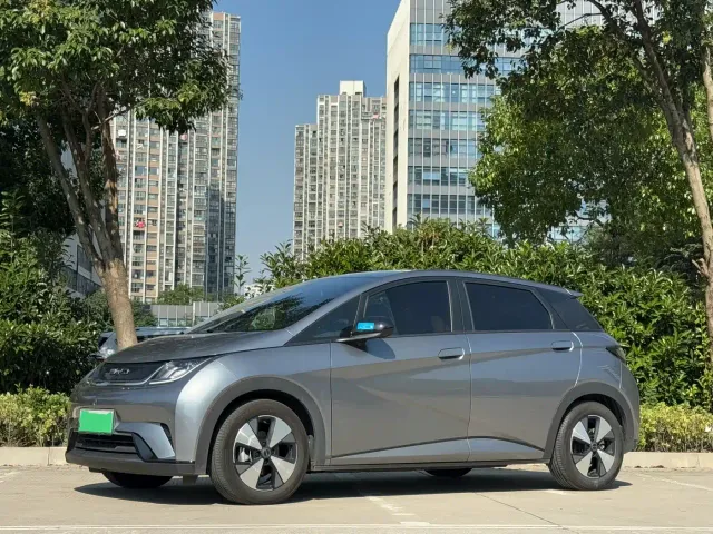 BYD Dolphin — Фото автомобиля 2