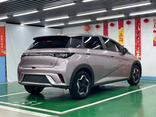 BYD Dolphin — Фото автомобиля 5