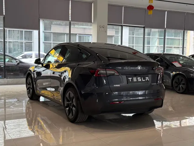 Tesla Model Y — Фото автомобиля 7