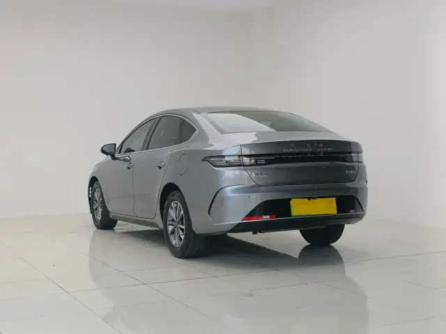BYD Destroyer 05 2024 Glory Edition DM-i 55KM Luxury — Фото автомобиля 6