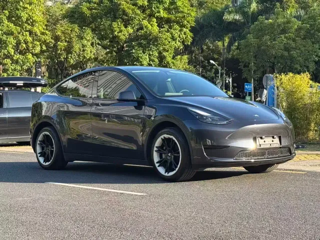Tesla Model Y — Фото автомобиля 3