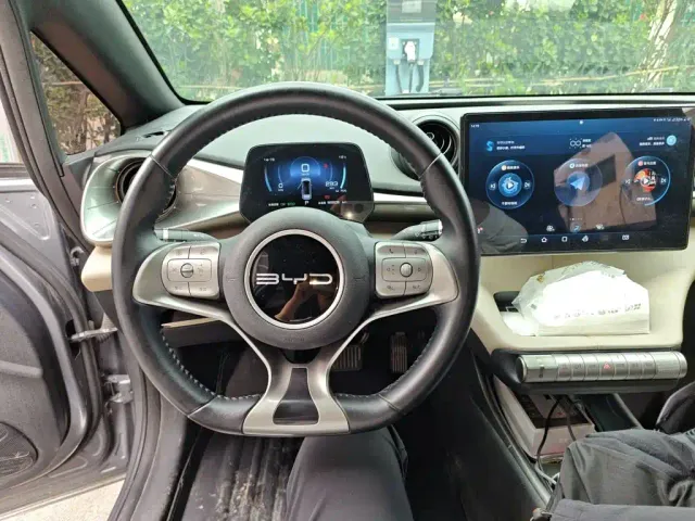 BYD Dolphin — Фото автомобиля 2