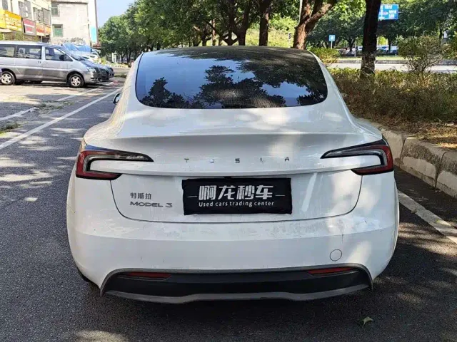 Tesla Model 3 — Фото автомобиля 8
