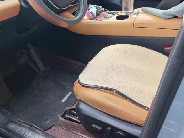 Leapmotor Leapmotor C11 2024 Pure Electric 580 Premium Edition — Фото автомобиля 9