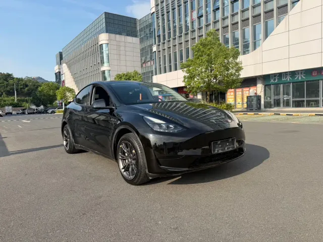 Tesla Model Y — Фото автомобиля 3