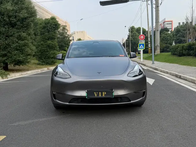 Tesla Model Y — Фото автомобиля 2