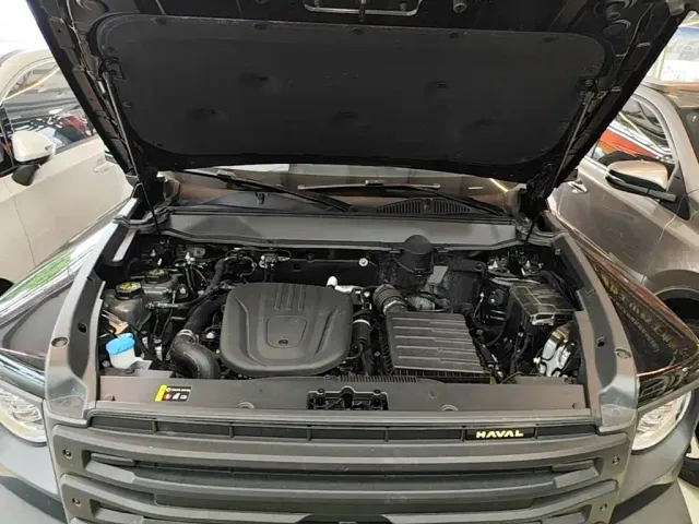 Haval Raptor — Фото автомобиля 19