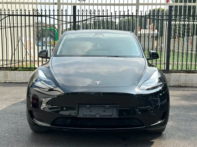 Tesla Model Y — Фото автомобиля 2