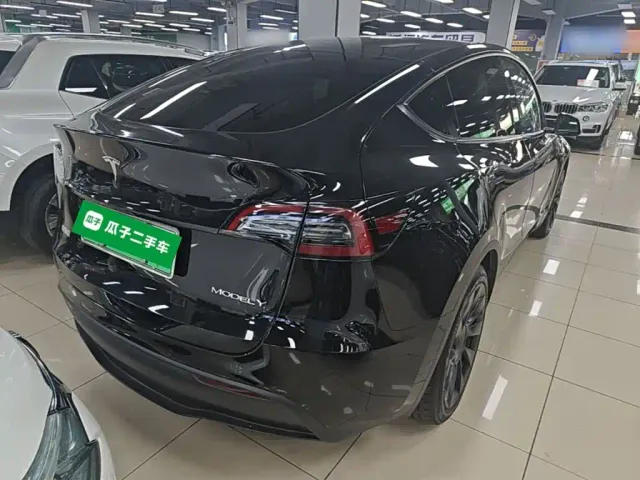 Tesla Model Y — Фото автомобиля 6